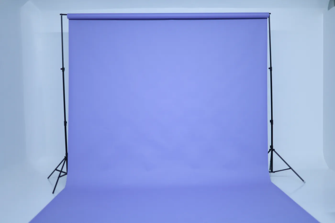 Lavender seamless paper installed across the studio wall and floor.