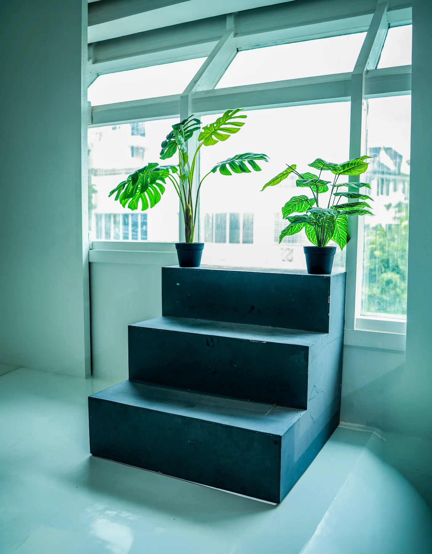 Natural window light around the stepped seating and plants in the daylight corner